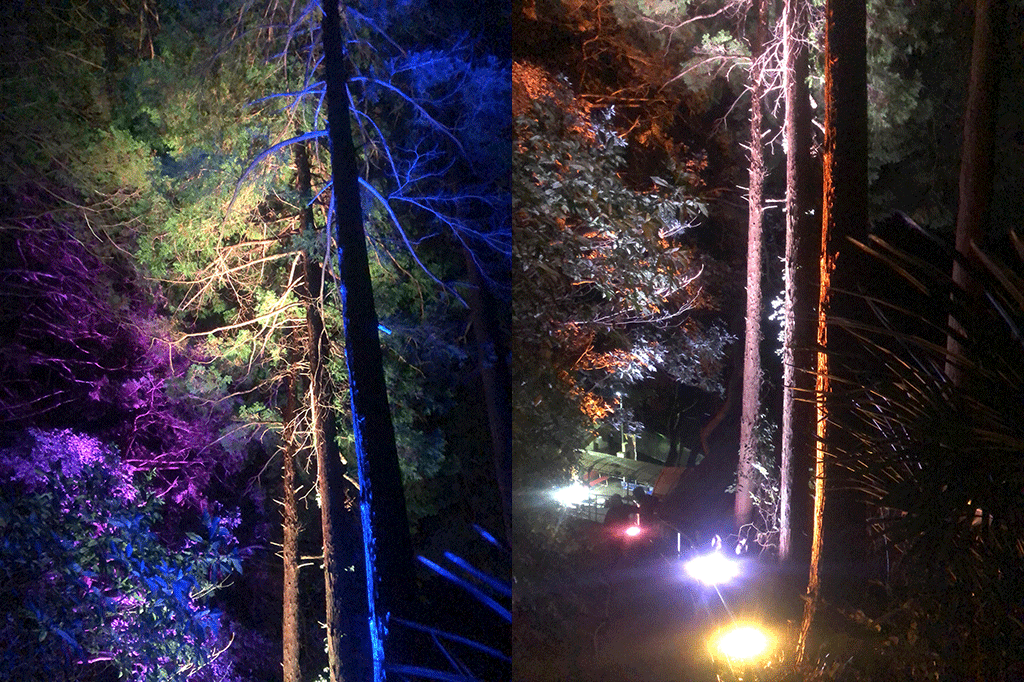 龍河洞の森ライトアップ