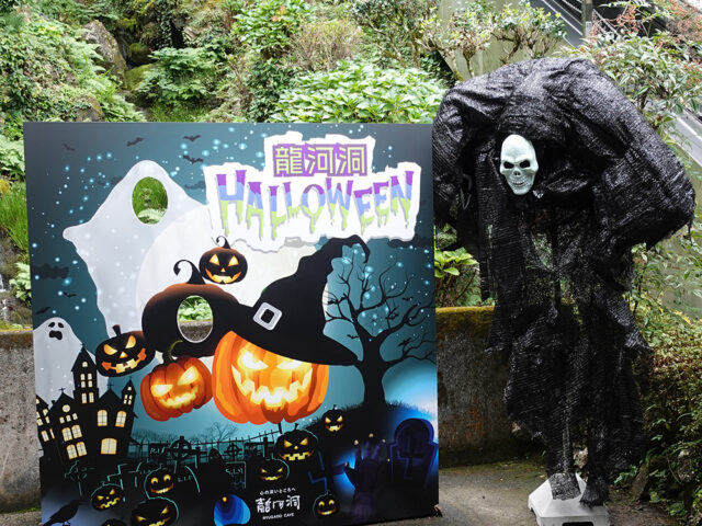 フォトギャラリー 国指定史蹟天然記念物 龍河洞